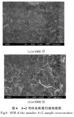 图6A-2号样品断面扫描电镜图.png