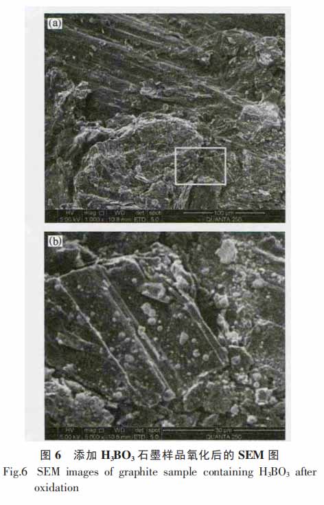 图6添加H3BO3石墨样品氧化后的SEM图.jpg