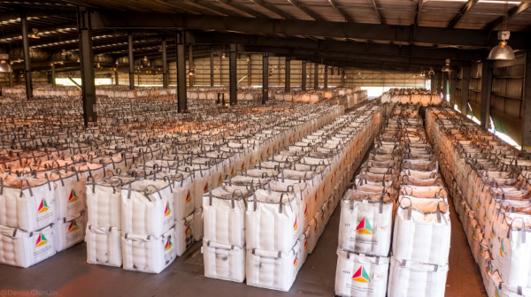 Australian Syrah海外负极项目2.png